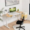 55''x28'' Electric Standing Desk Adjustable Sit To Stand Table W/USB Port WhiteNatural