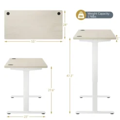 Costway Electric Adjustable Standing Desk Stand Up Workstation Dual Motor W/ Controller